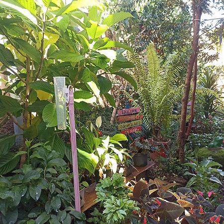 Suites Pico Do Cristal Caparaó Velho 외부 사진